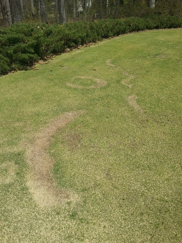 Get Rid Of Fairy Ring