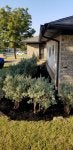 20201008_172835.jpg