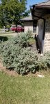 20201001_135802.jpg